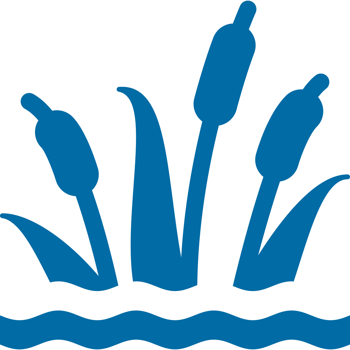 Wetland Icon